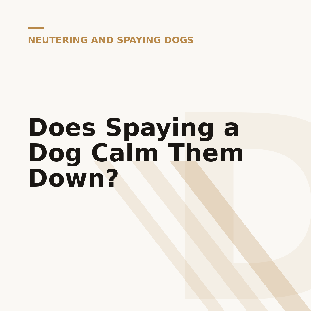 Does Spaying a Dog Calm Them Down?