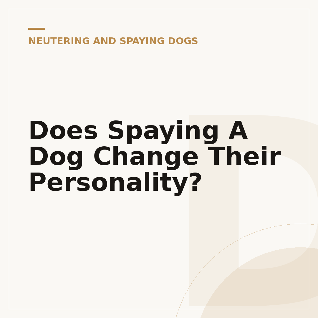 Does Spaying A Dog Change Their Personality?