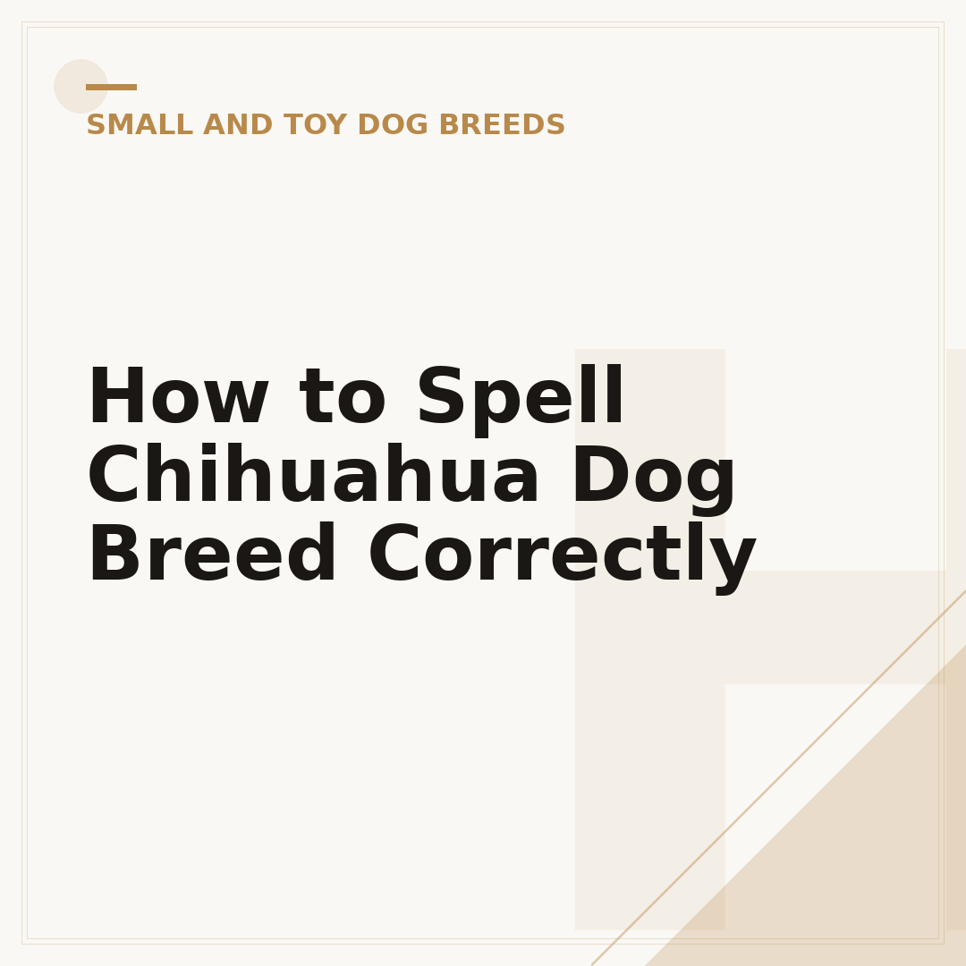 How to Spell Chihuahua Dog Breed Correctly
