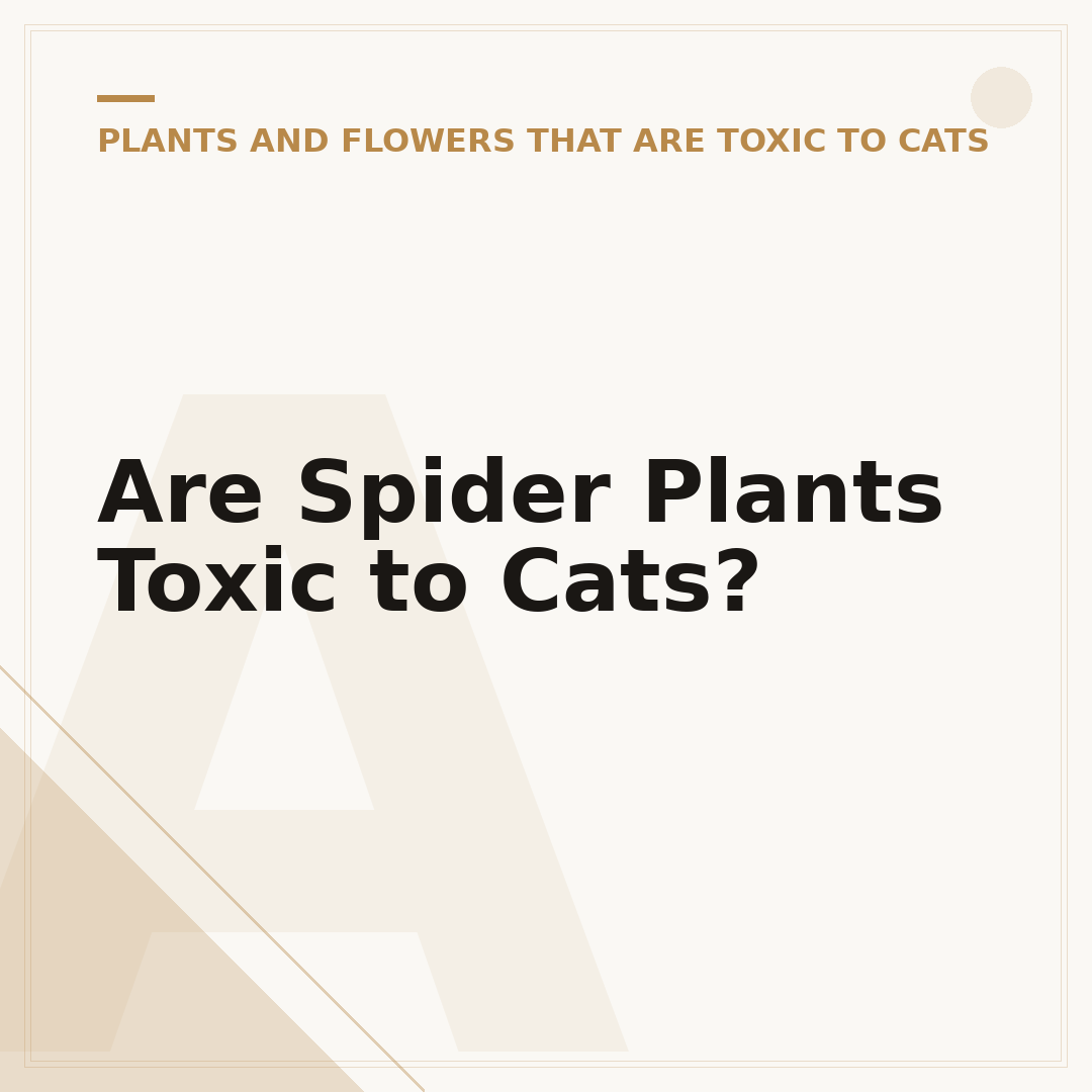 Are Spider Plants Toxic to Cats?
