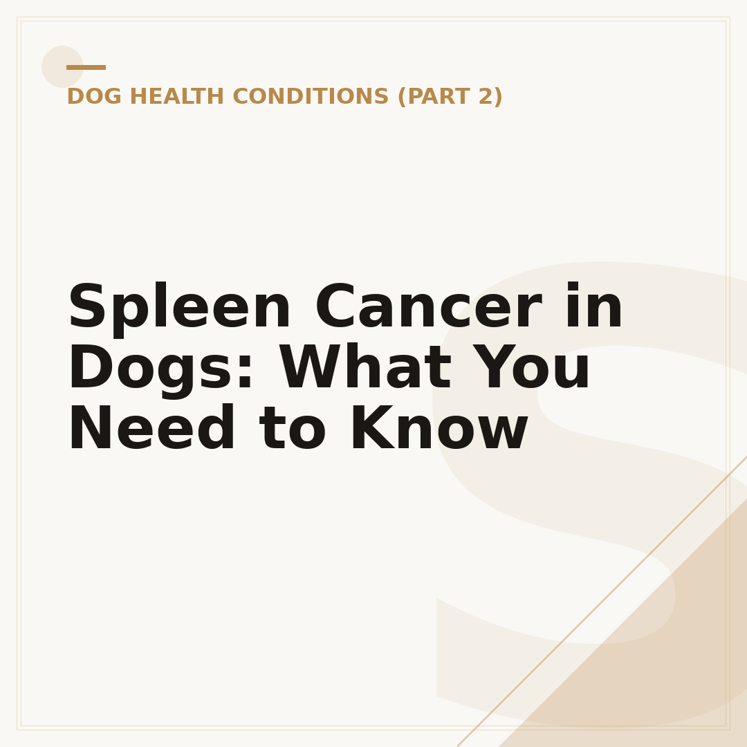Spleen Cancer in Dogs: What You Need to Know