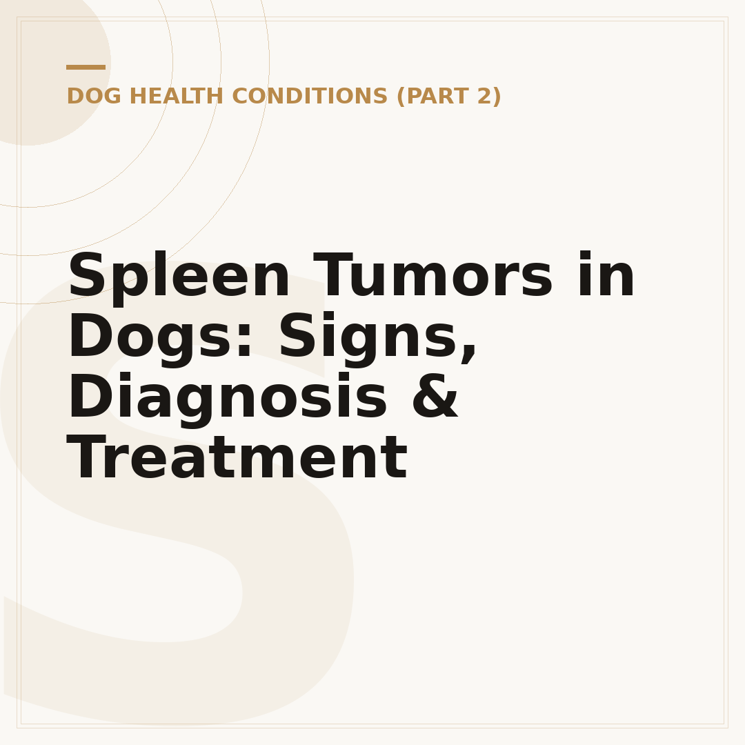 Spleen Tumors in Dogs: Signs, Diagnosis & Treatment