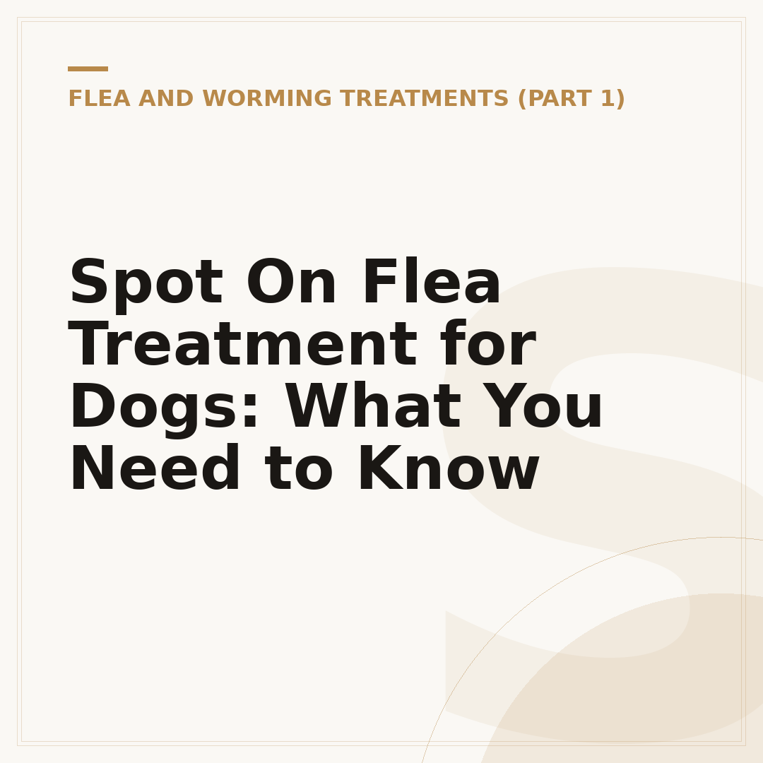 Spot On Flea Treatment for Dogs: What You Need to Know
