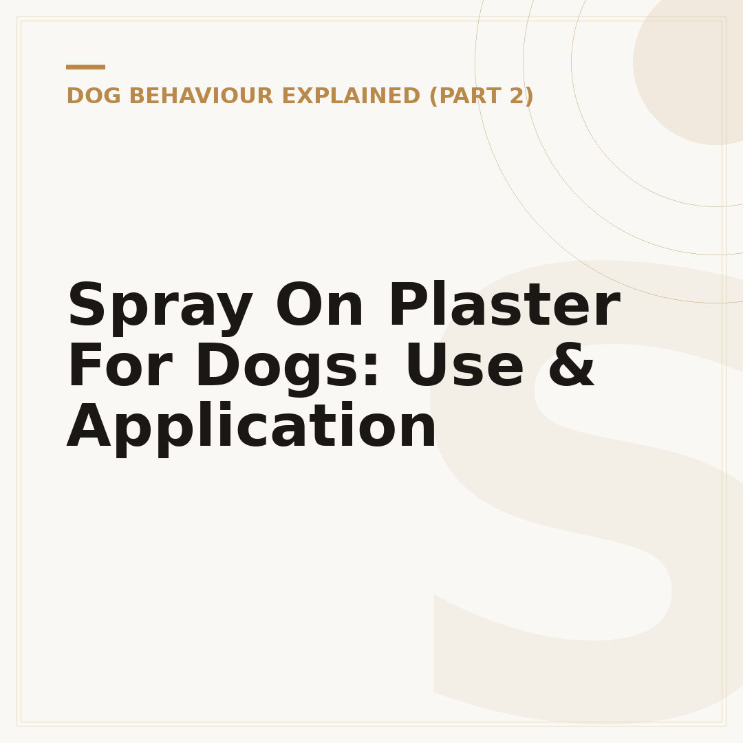 Spray On Plaster For Dogs: Use & Application