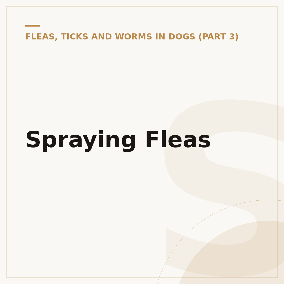 Spraying Fleas