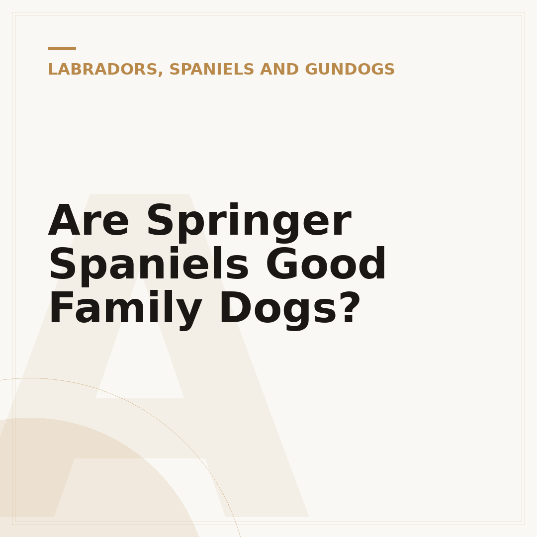 Are Springer Spaniels Good Family Dogs?