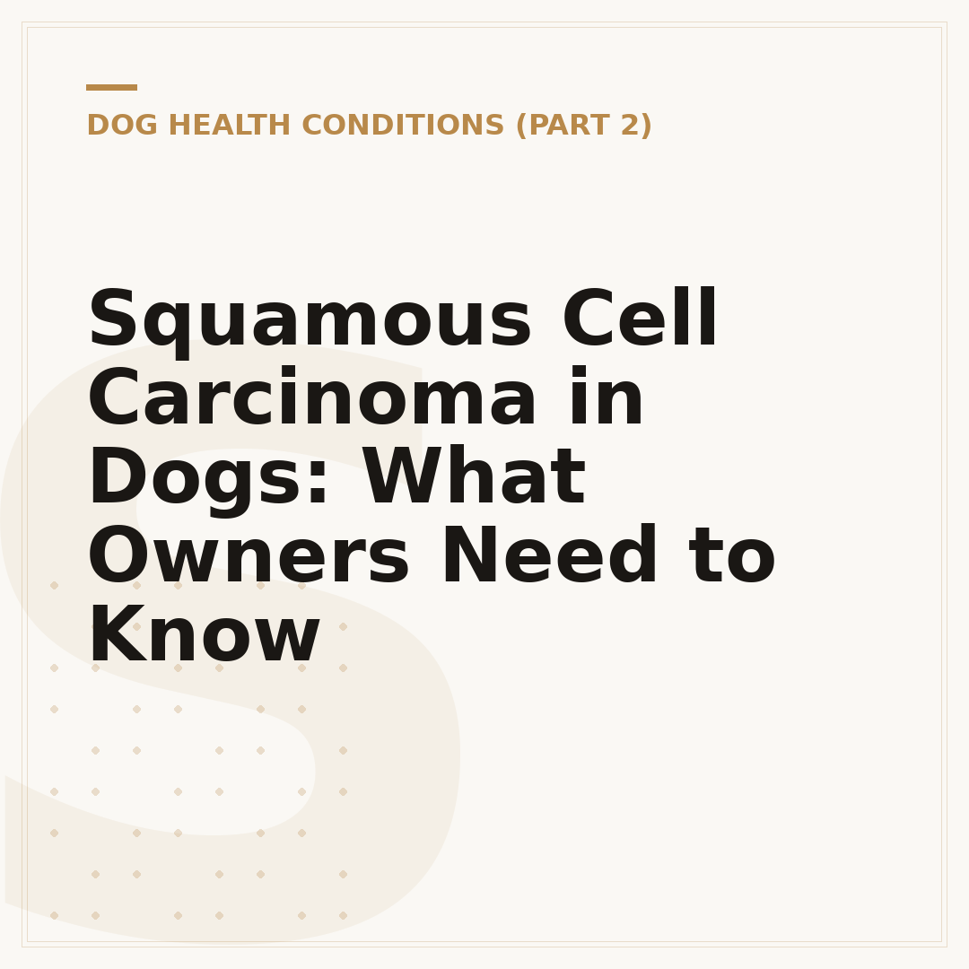 Squamous Cell Carcinoma in Dogs: What Owners Need to Know