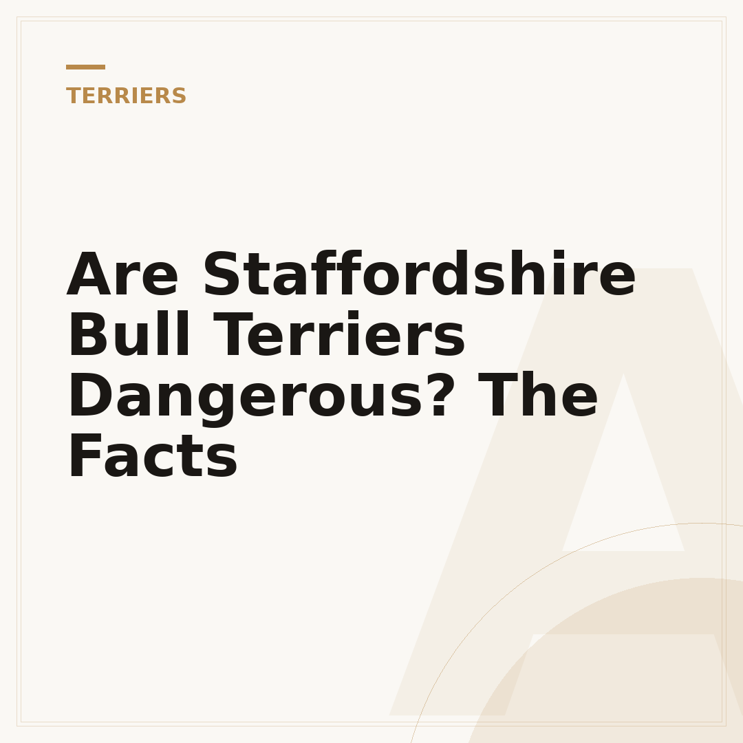 Are Staffordshire Bull Terriers Dangerous? The Facts