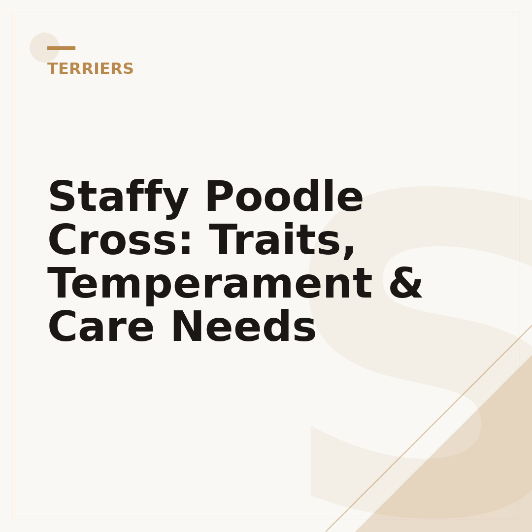 Staffy Poodle Cross: Traits, Temperament & Care Needs