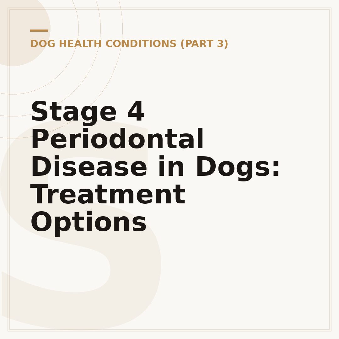 Stage 4 Periodontal Disease in Dogs: Treatment Options