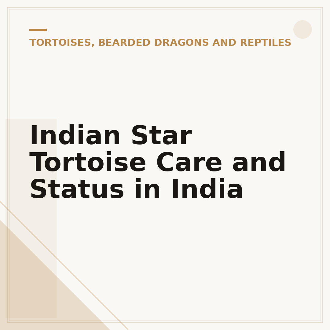 Indian Star Tortoise Care and Status in India