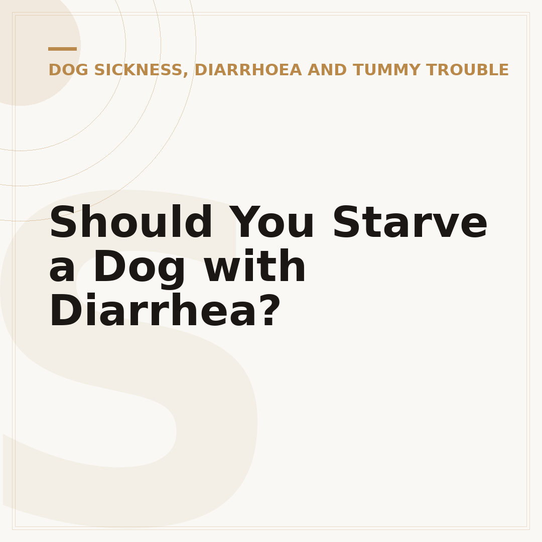 Should You Starve a Dog with Diarrhea?