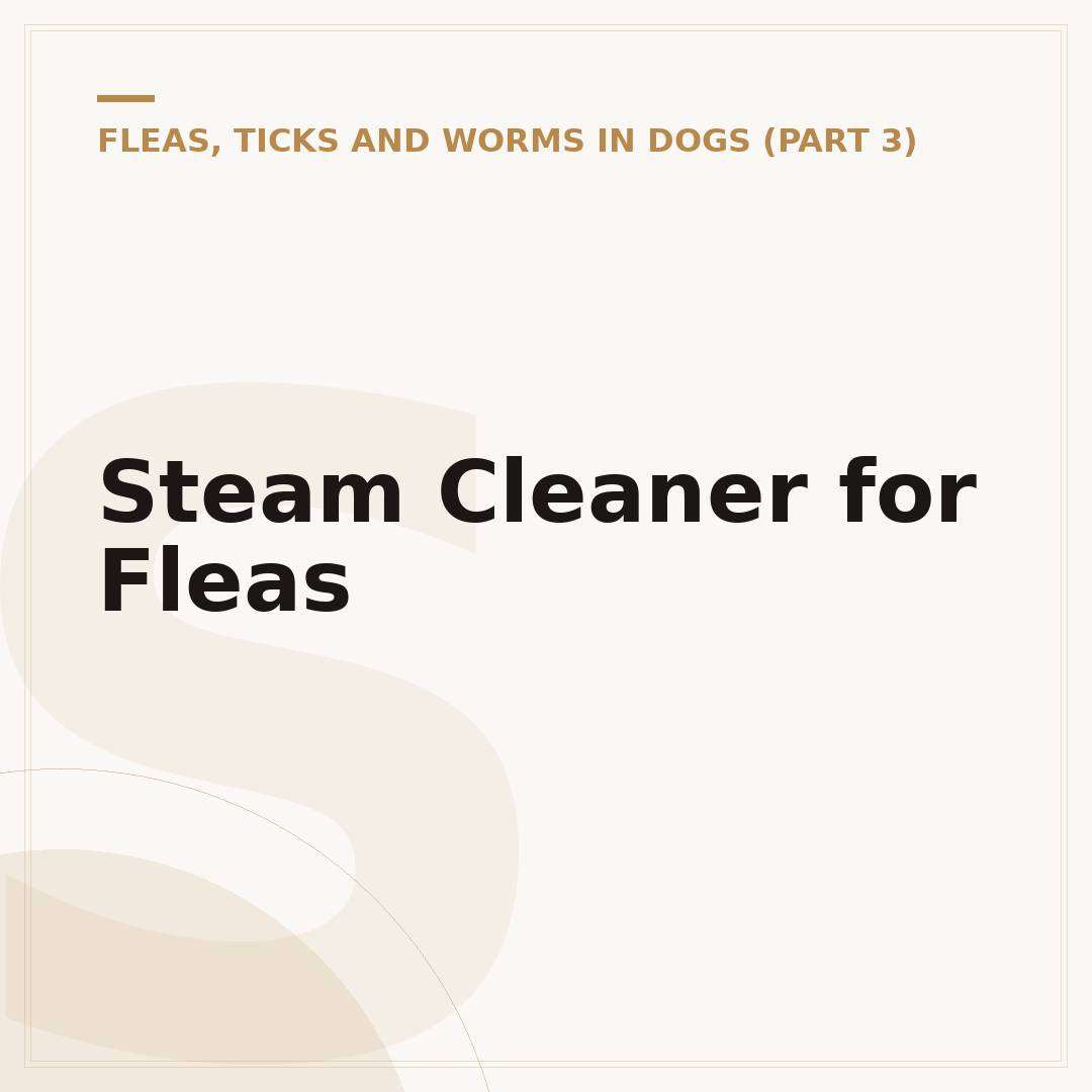Steam Cleaner for Fleas