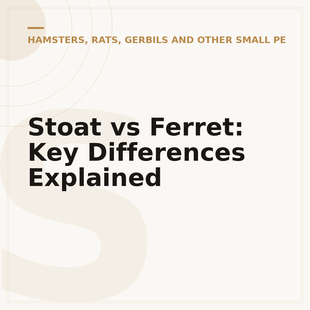 Stoat vs Ferret: Key Differences Explained