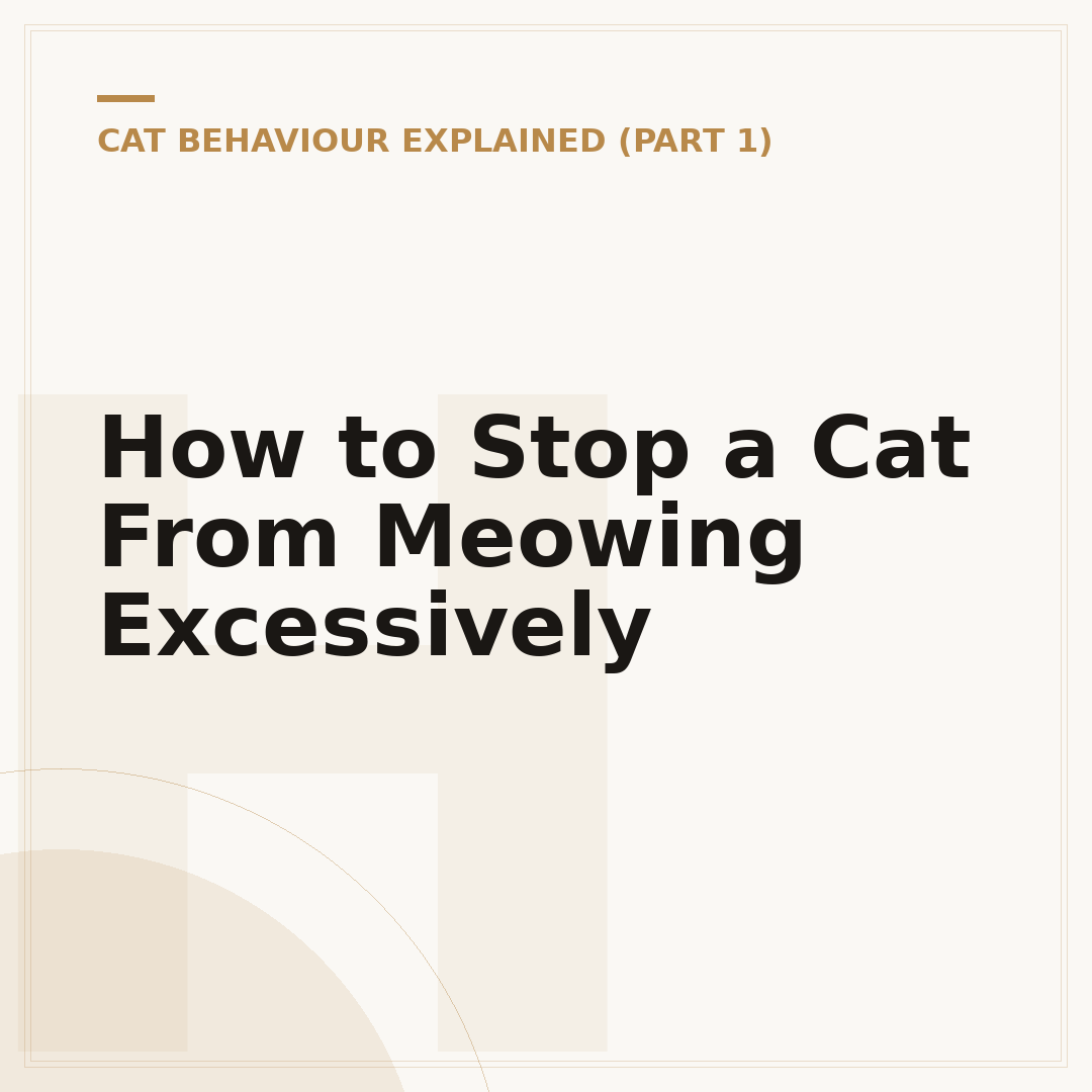 How to Stop a Cat From Meowing Excessively