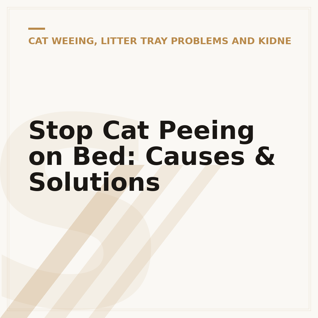 Stop Cat Peeing on Bed: Causes & Solutions