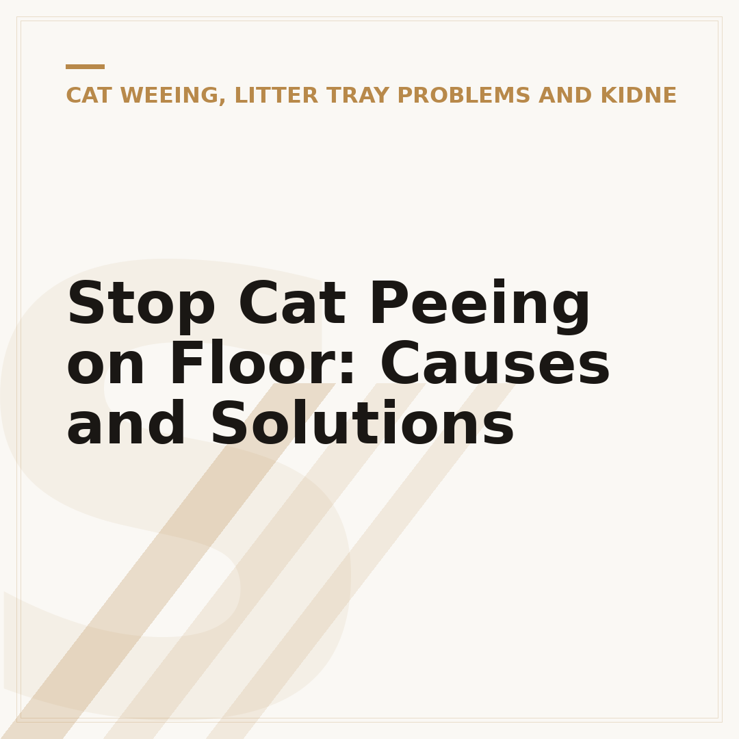Stop Cat Peeing on Floor: Causes and Solutions