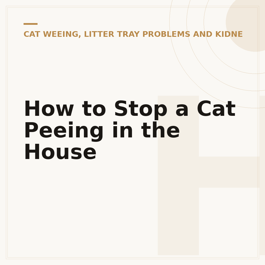 How to Stop a Cat Peeing in the House