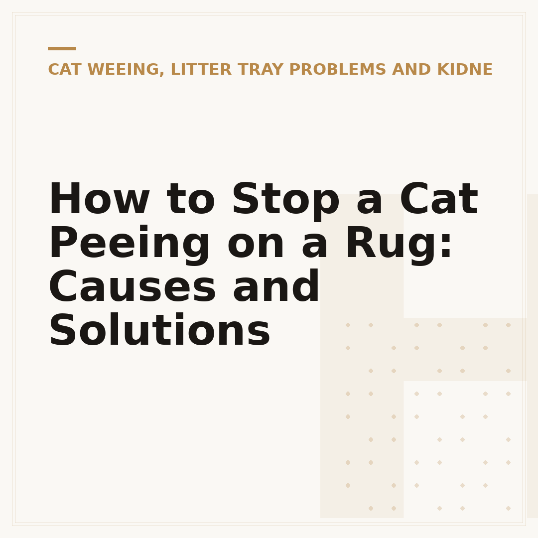 How to Stop a Cat Peeing on a Rug: Causes and Solutions