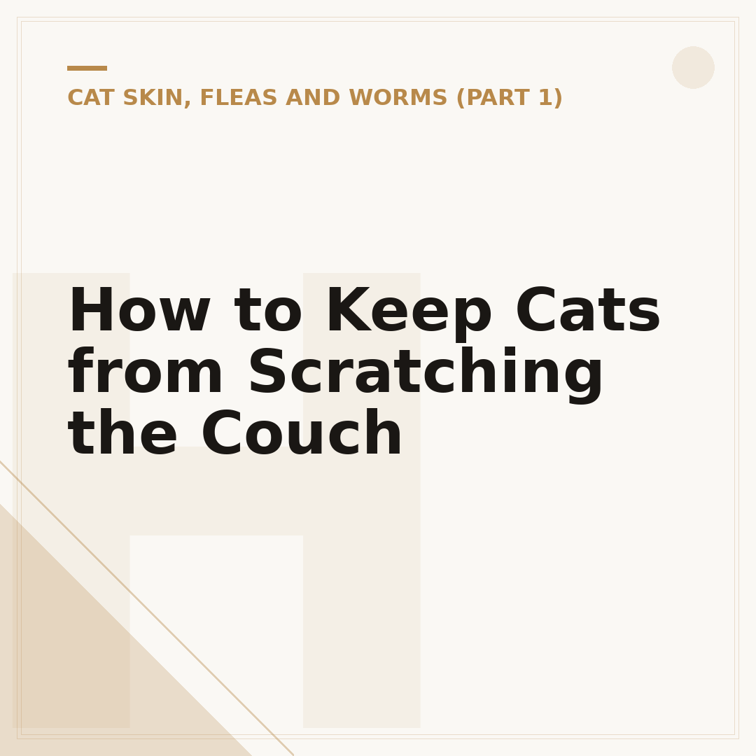 How to Keep Cats from Scratching the Couch