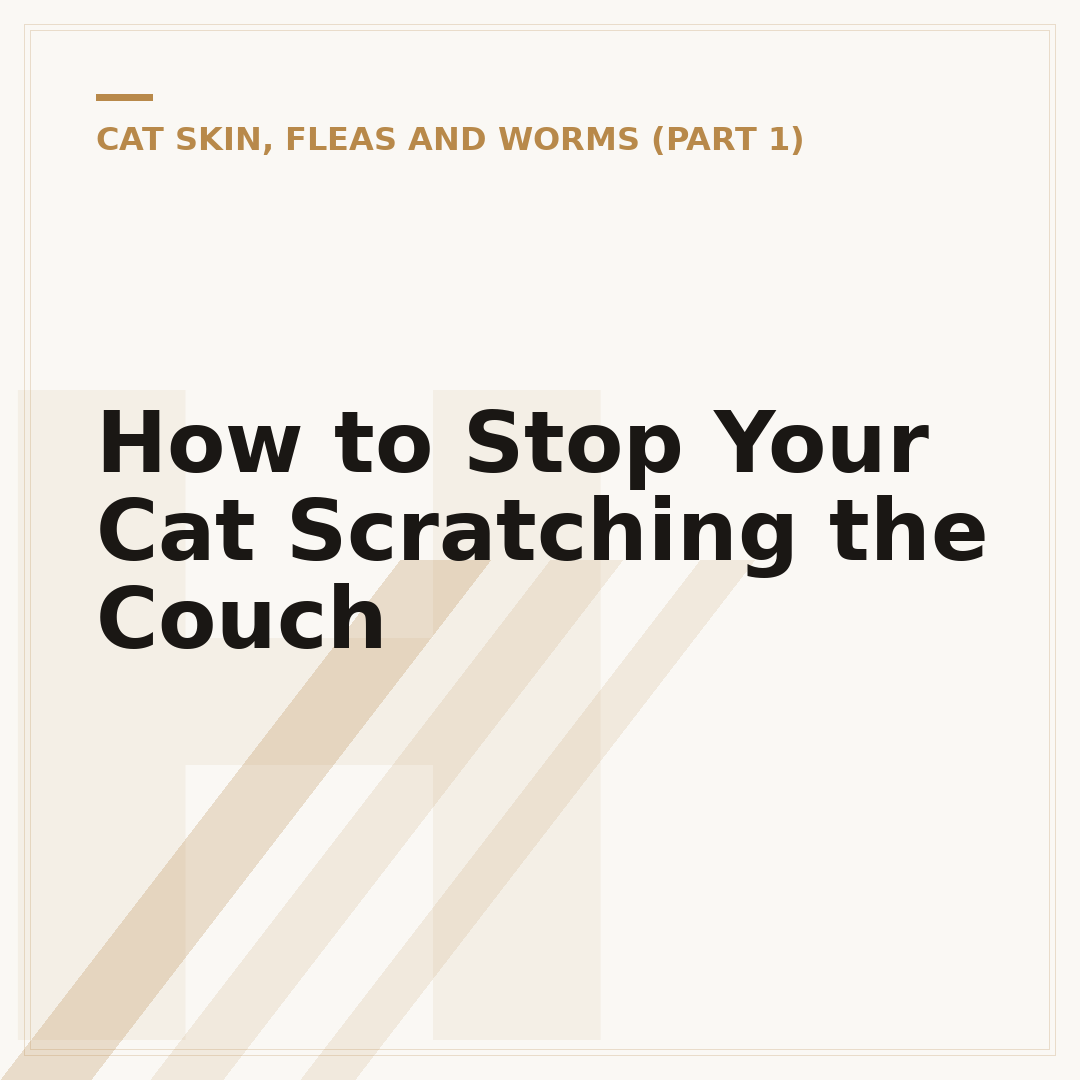 How to Stop Your Cat Scratching the Couch