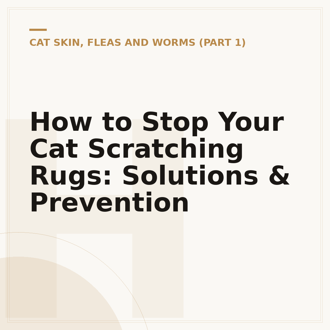 How to Stop Your Cat Scratching Rugs: Solutions & Prevention