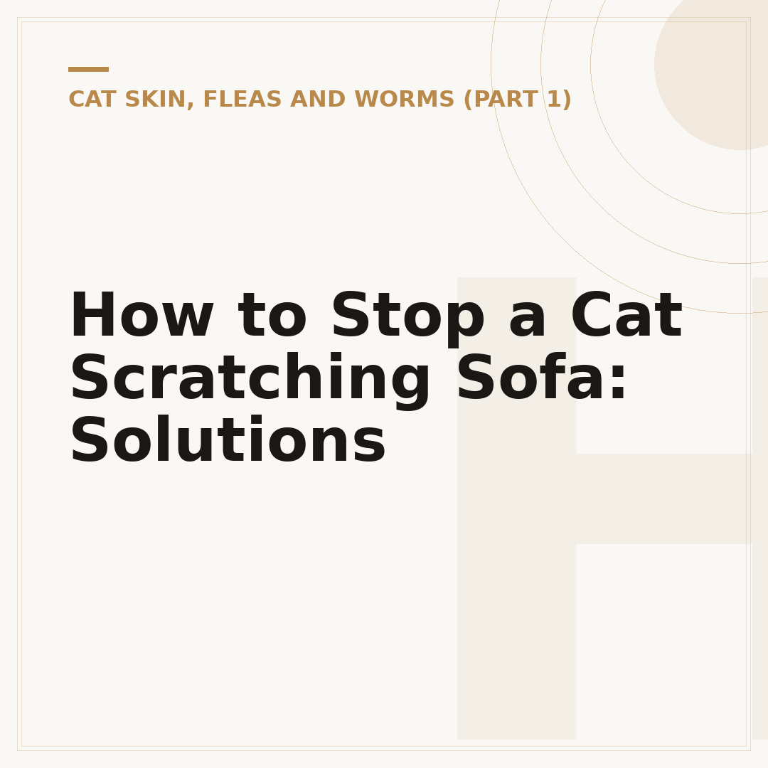 How to Stop a Cat Scratching Sofa: Solutions