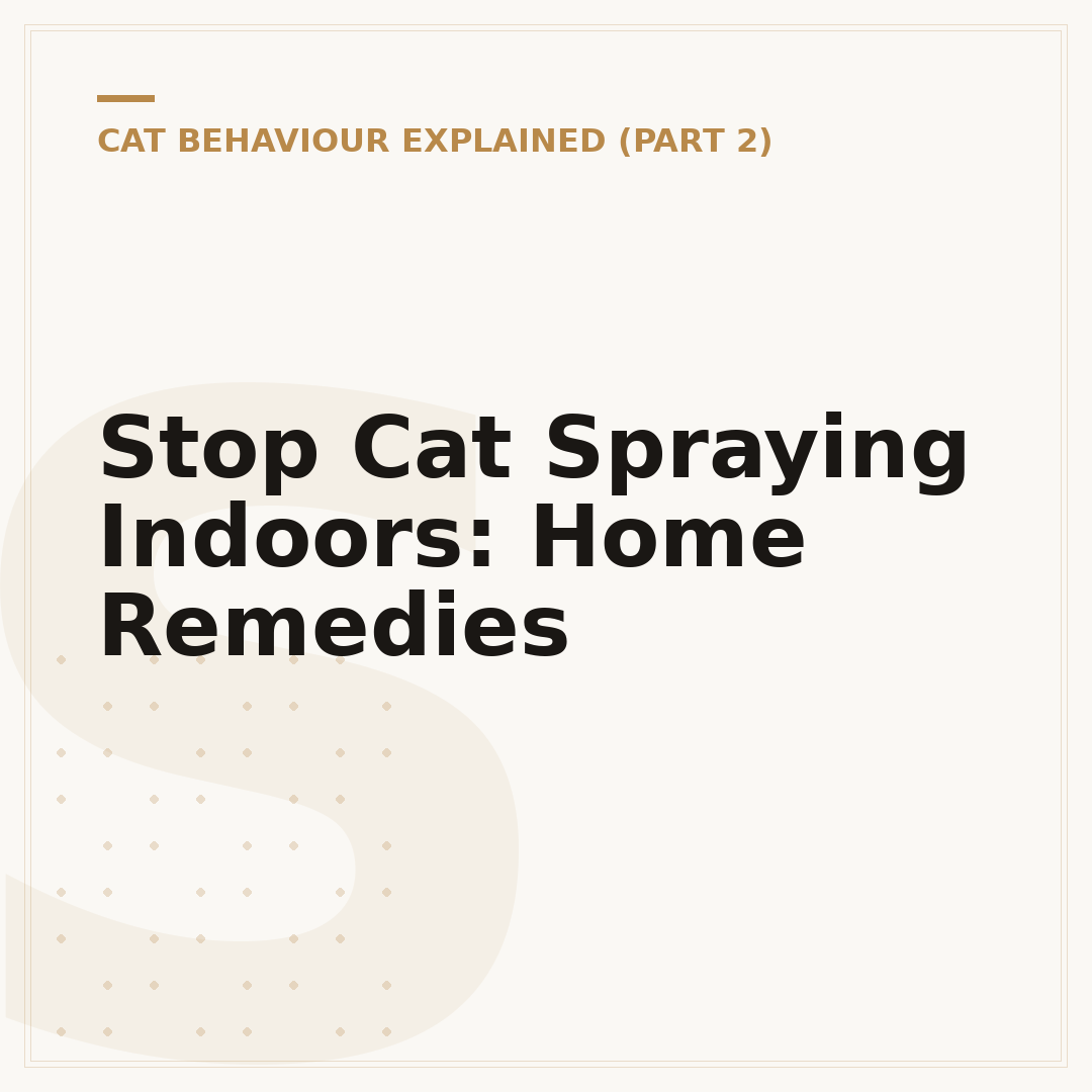 Stop Cat Spraying Indoors: Home Remedies