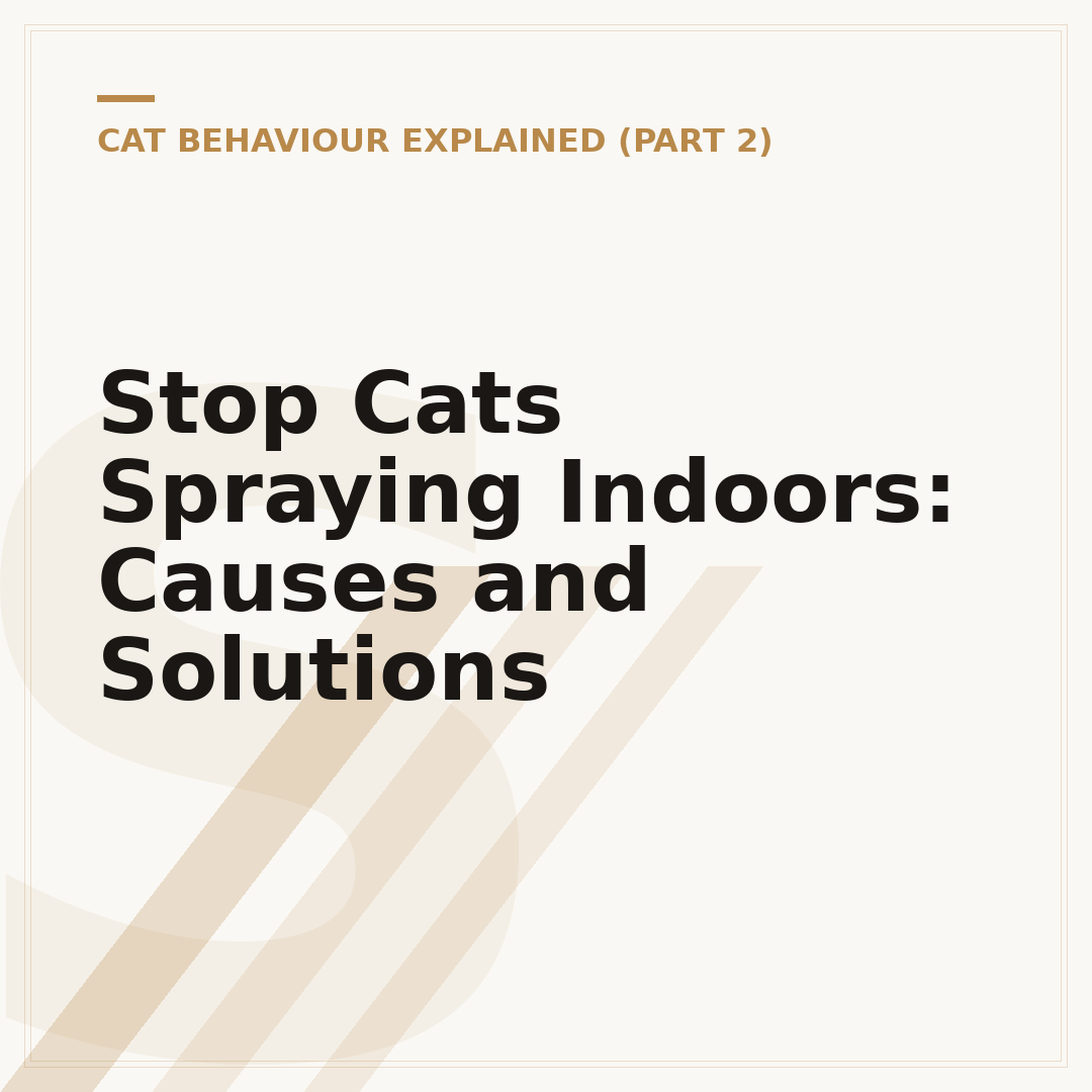 Stop Cats Spraying Indoors: Causes and Solutions