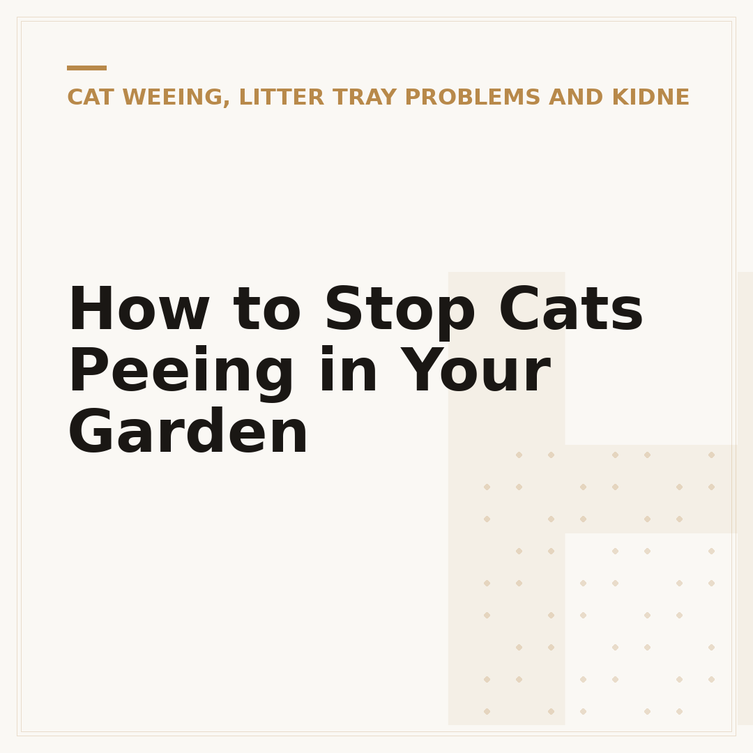 How to Stop Cats Peeing in Your Garden