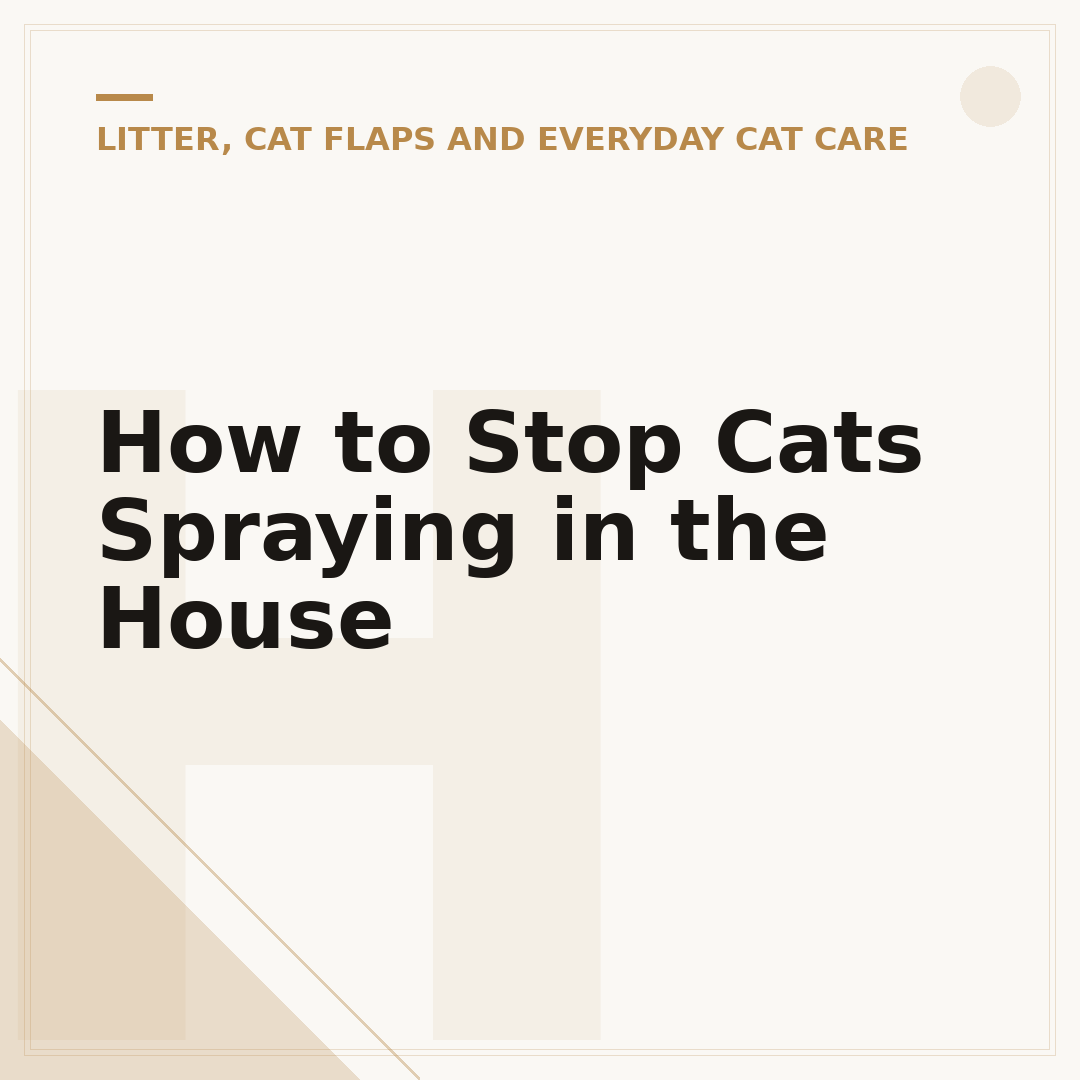 How to Stop Cats Spraying in the House