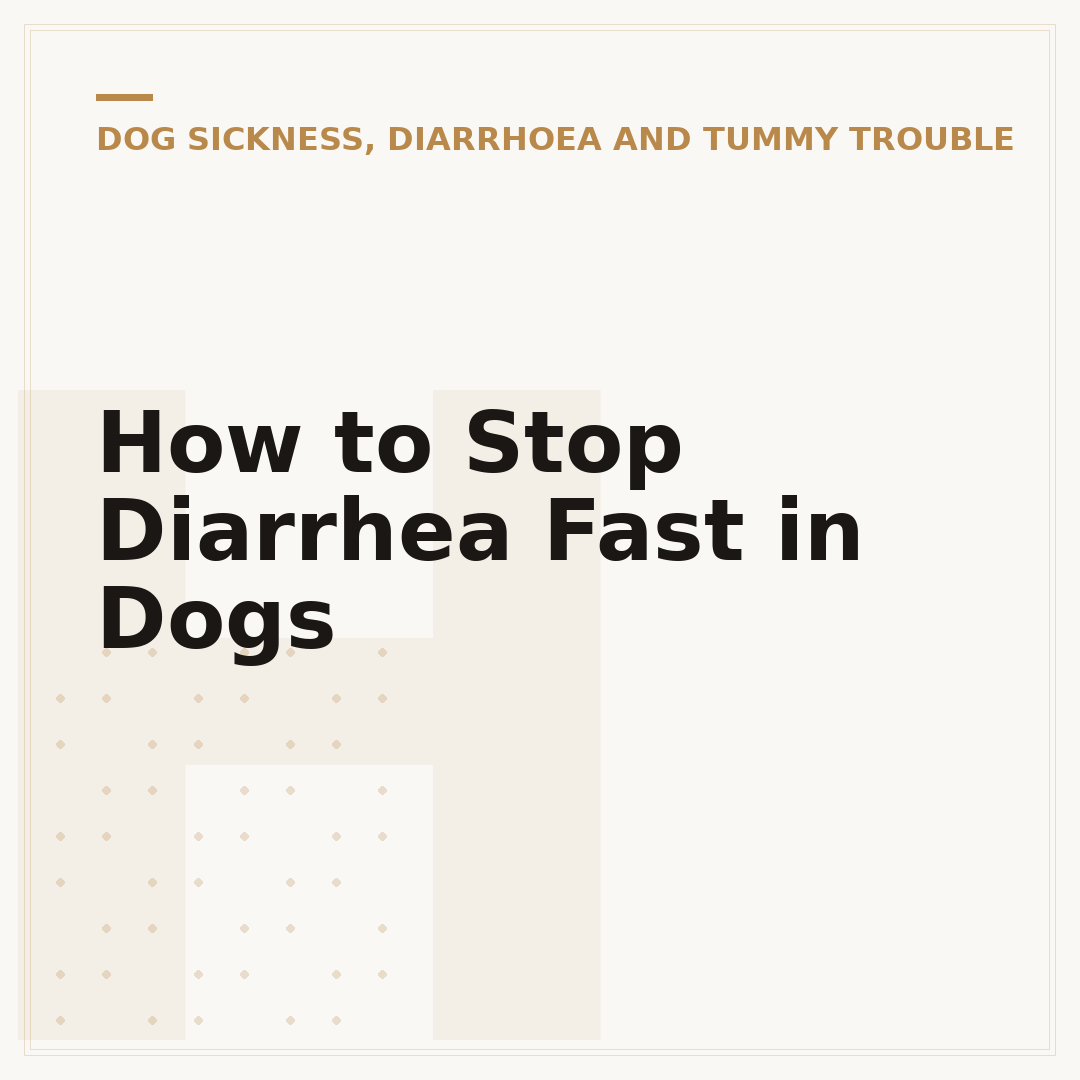 How to Stop Diarrhea Fast in Dogs