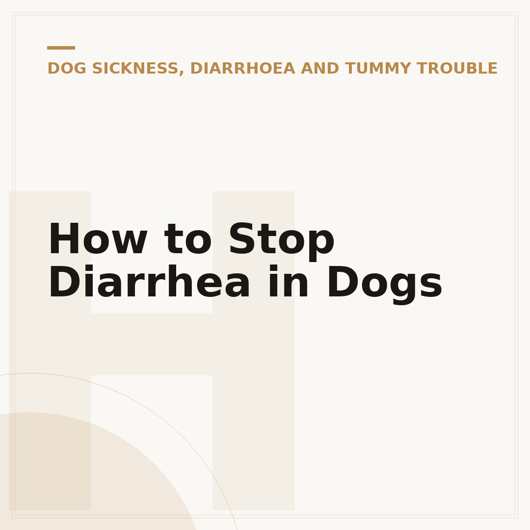 How to Stop Diarrhea in Dogs