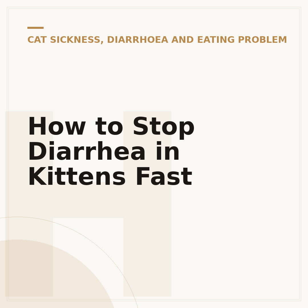How to Stop Diarrhea in Kittens Fast
