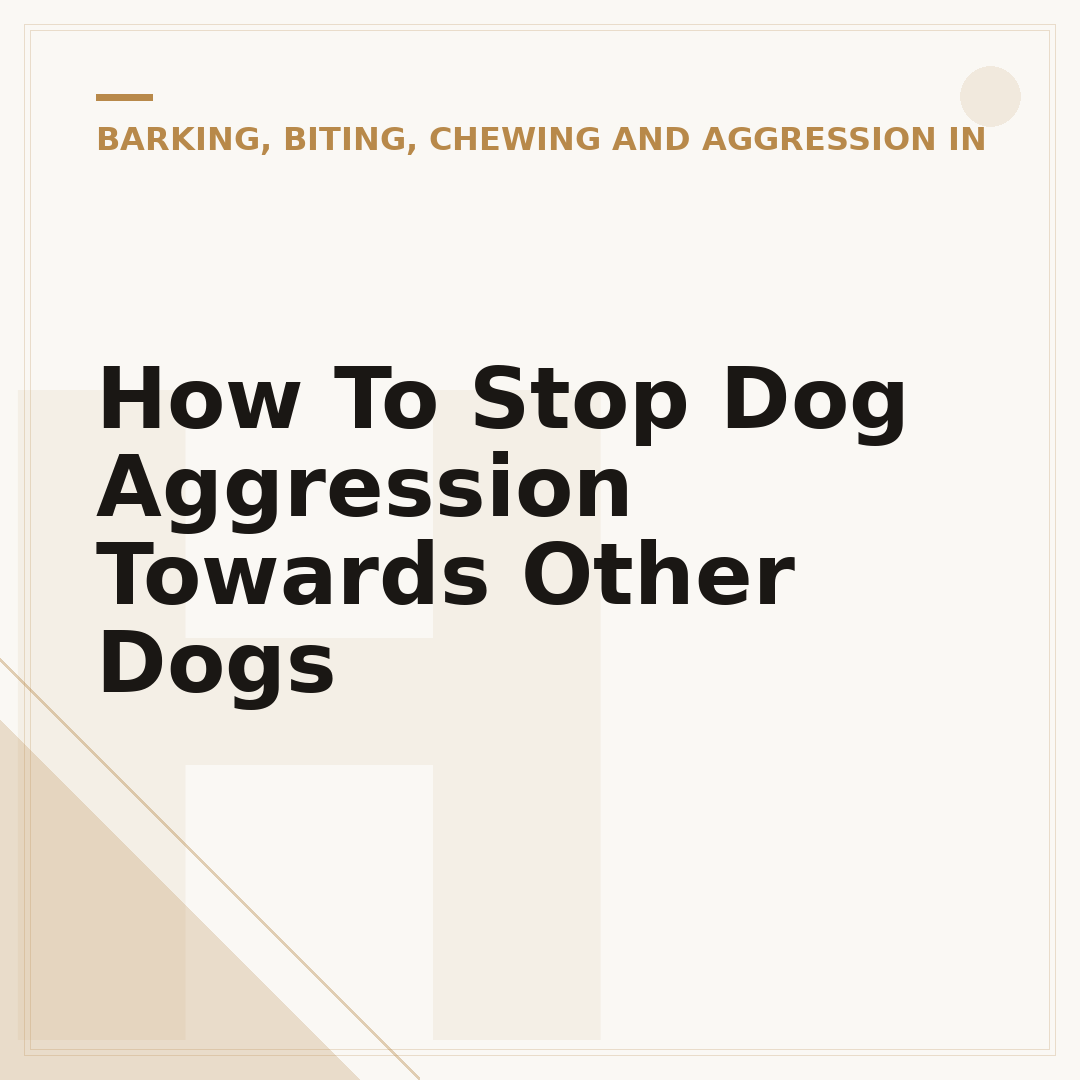 How To Stop Dog Aggression Towards Other Dogs