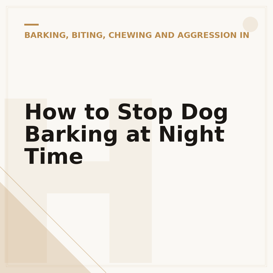 How to Stop Dog Barking at Night Time