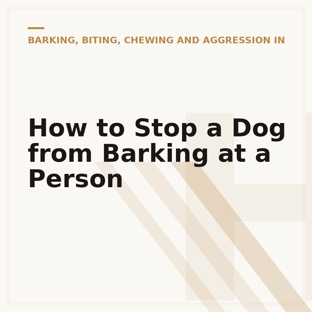 How to Stop a Dog from Barking at a Person