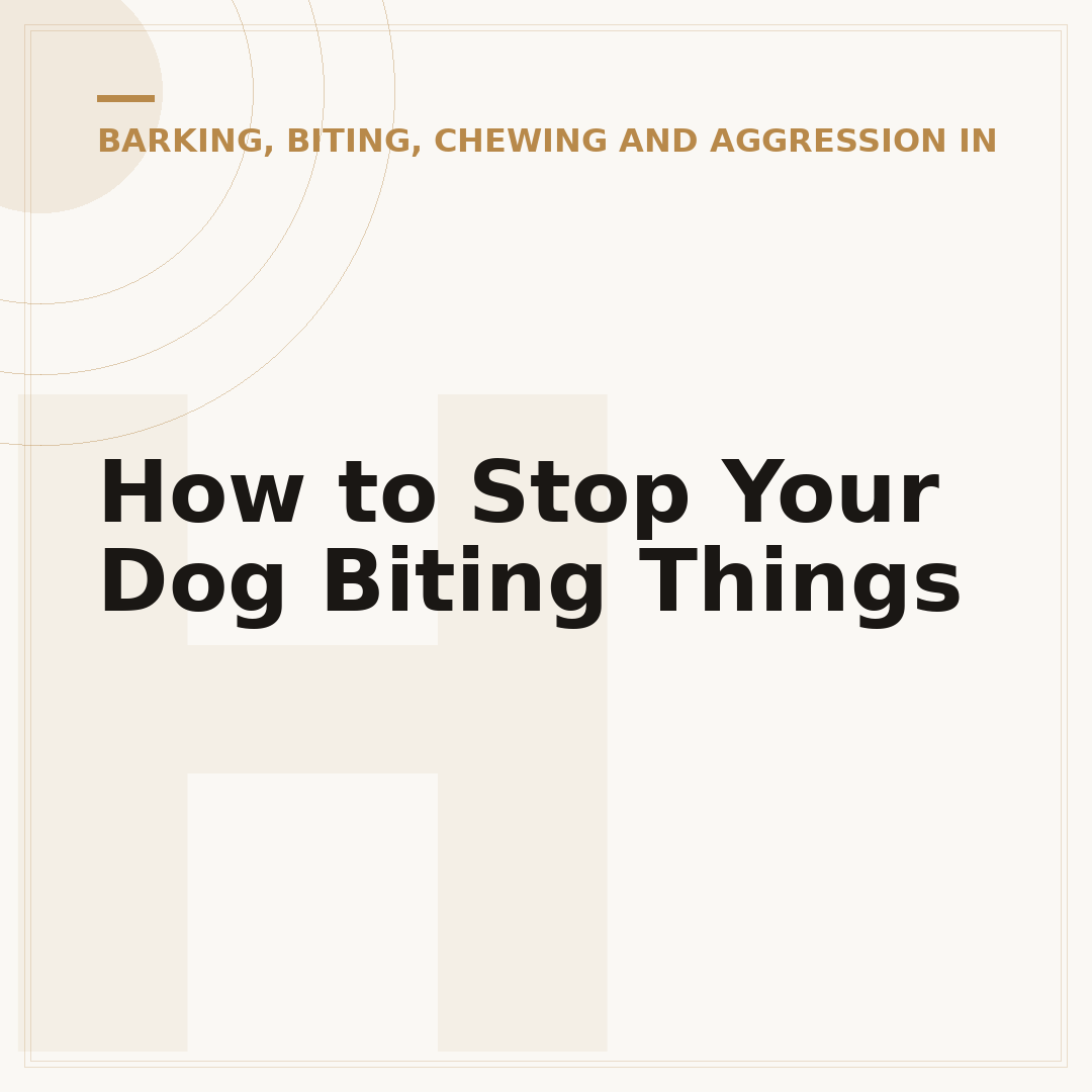How to Stop Your Dog Biting Things