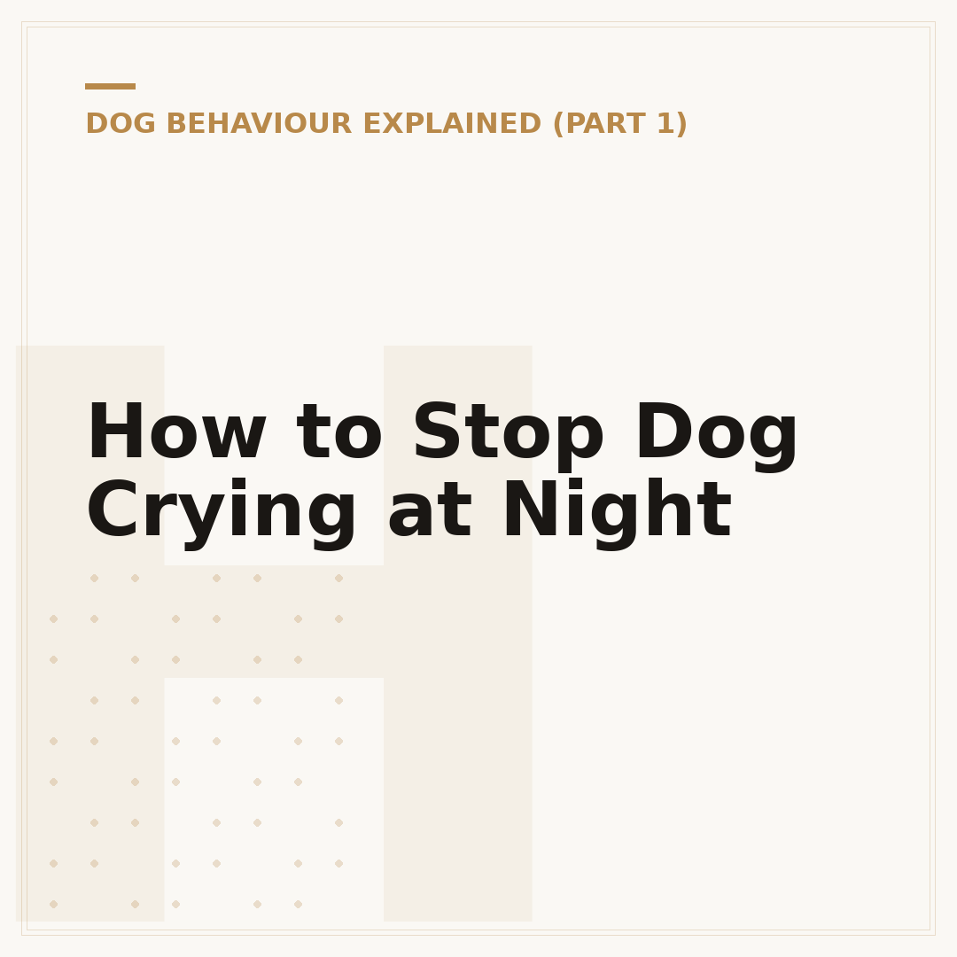 How to Stop Dog Crying at Night