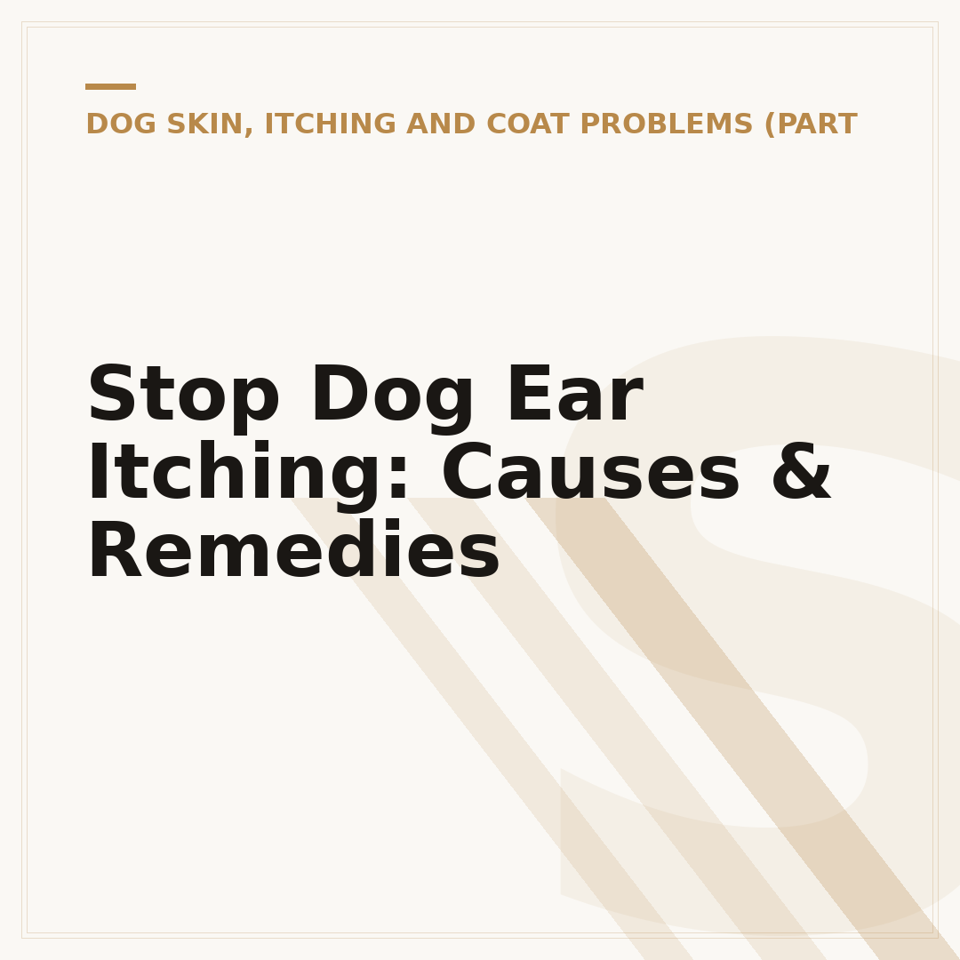 Stop Dog Ear Itching: Causes & Remedies