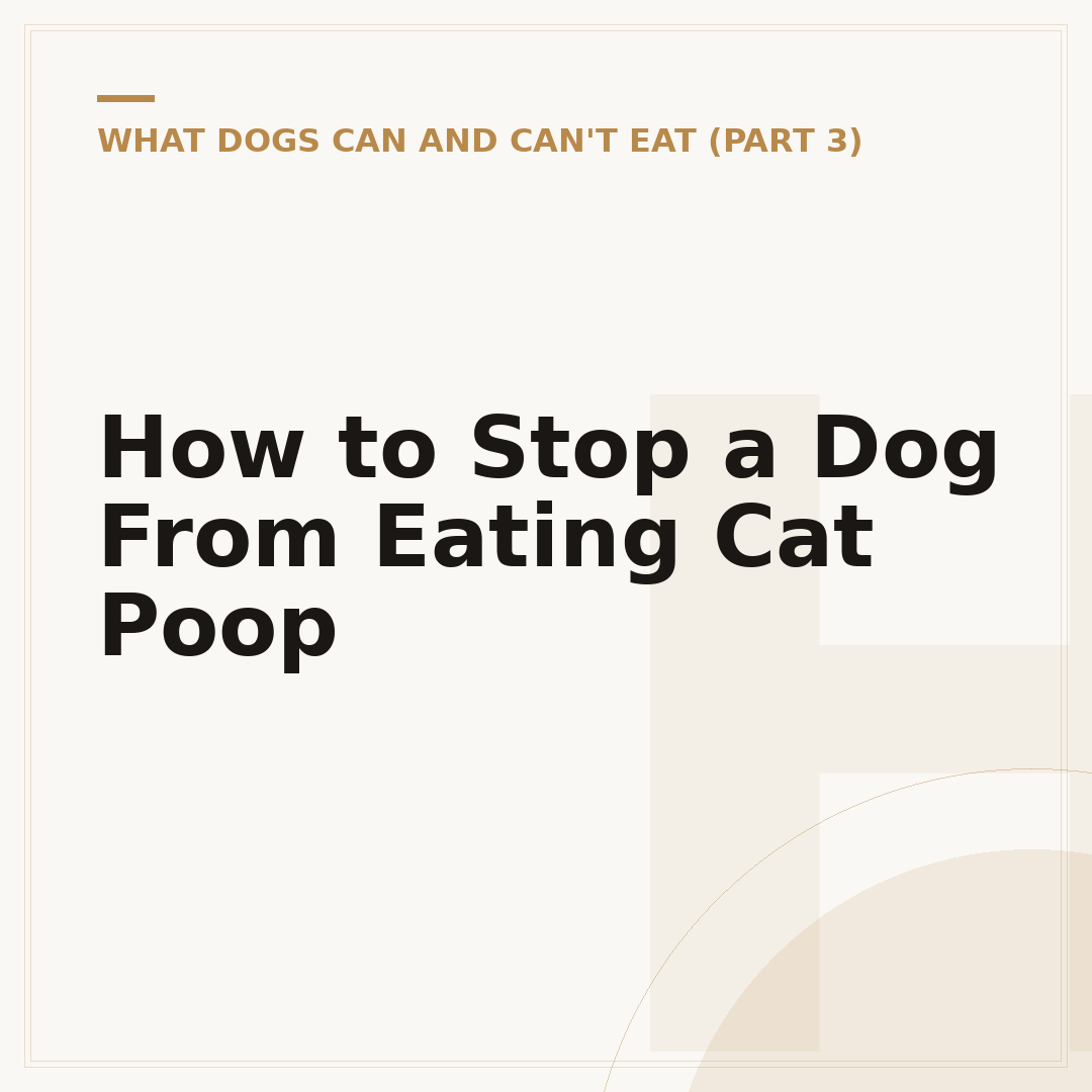 How to Stop a Dog From Eating Cat Poop