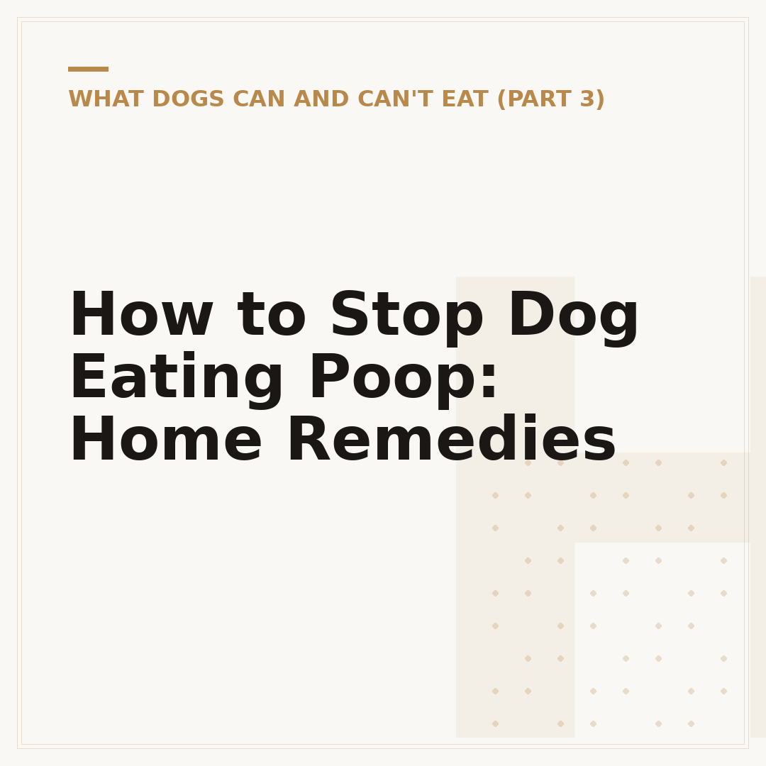 How to Stop Dog Eating Poop: Home Remedies