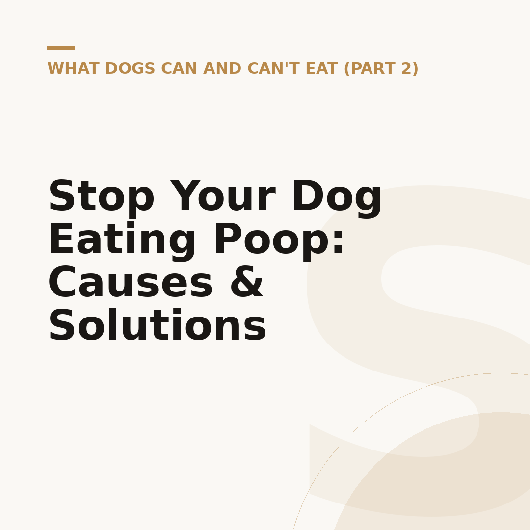 Stop Your Dog Eating Poop: Causes & Solutions