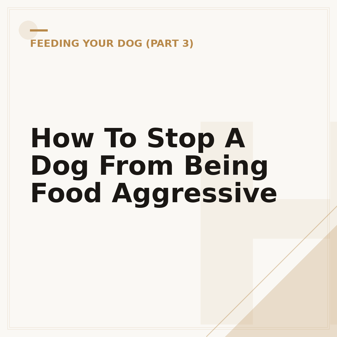 How To Stop A Dog From Being Food Aggressive