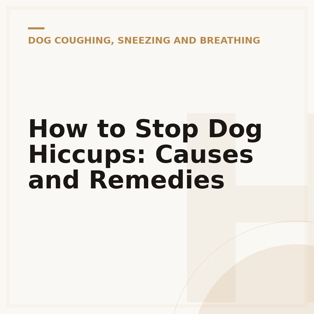 How to Stop Dog Hiccups: Causes and Remedies