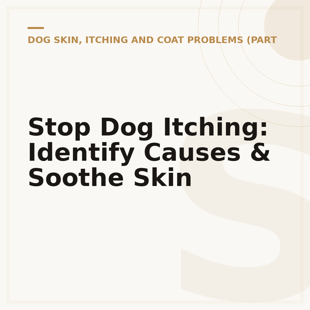 Stop Dog Itching: Identify Causes & Soothe Skin