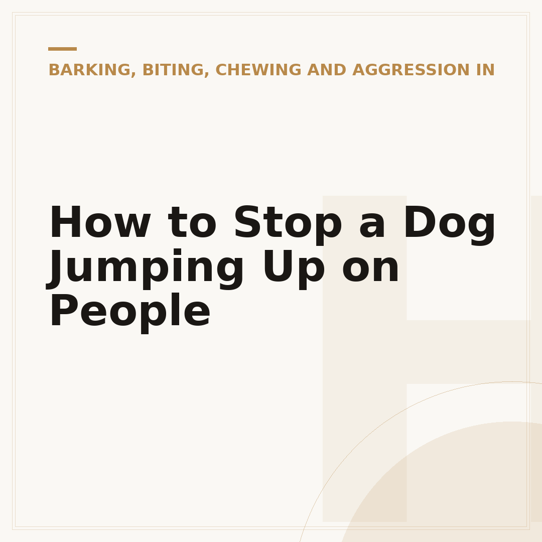 How to Stop a Dog Jumping Up on People
