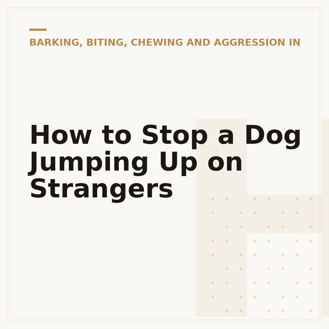 How to Stop a Dog Jumping Up on Strangers
