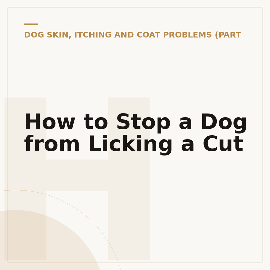 How to Stop a Dog from Licking a Cut