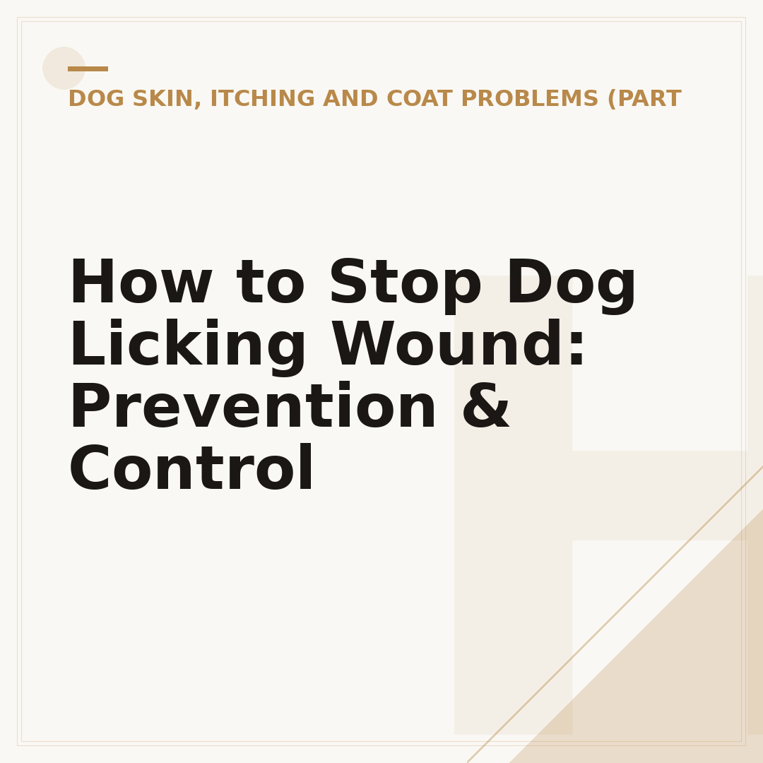 How to Stop Dog Licking Wound: Prevention & Control